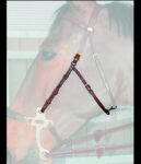 PORTAMORSO CORTO PER HACKMORE DY'ON Accessori Briglie 